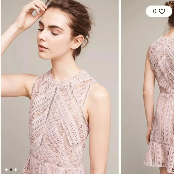 Anthropologie Greylin - Emilia Lace Mini Dress - Chalk Rose - Size Small - Picture 2 of 14